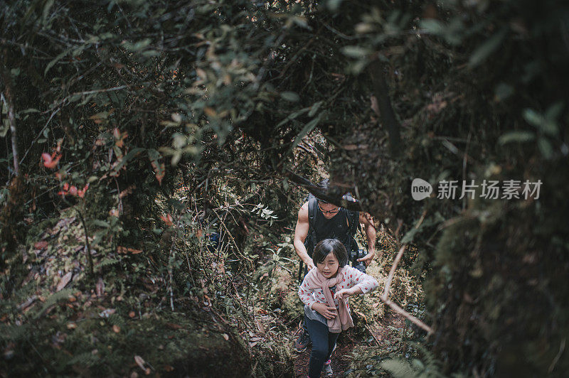 asian chinese male hiker exploring mossy forest in cameron highland walking with his daughter